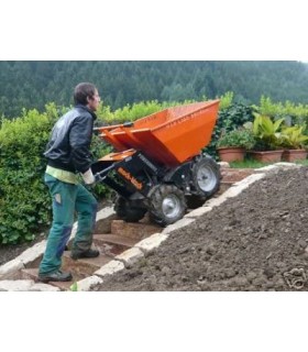 Mini Dumper